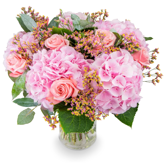 Bouquet of hydrangea